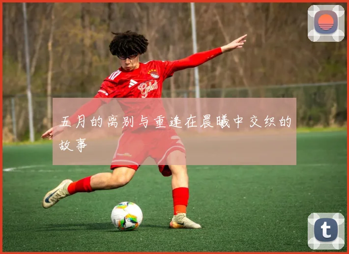 五月的离别与重逢在晨曦中交织的故事