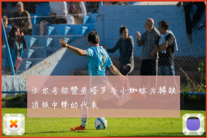法尔考称赞劳塔罗与小蜘蛛为稀缺顶级中锋的代表